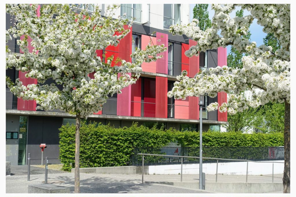 Krippe von außen im Frühling